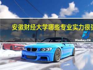 安徽财经大学哪些专业实力很强