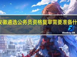 安徽遴选公务员资格复审需要准备什么材料