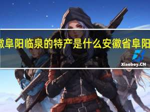 安徽阜阳临泉的特产是什么 安徽省阜阳市临泉县