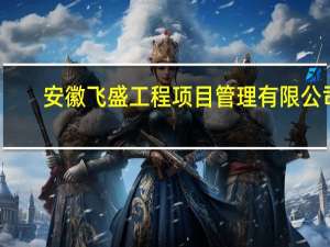安徽飞盛工程项目管理有限公司(关于安徽飞盛工程项目管理有限公司简述)