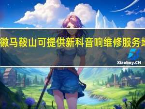 安徽马鞍山可提供新科音响维修服务地址在哪