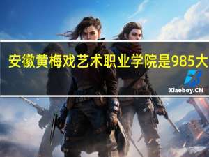 安徽黄梅戏艺术职业学院是985大学吗