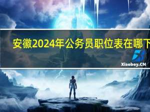 安徽2024年公务员职位表在哪下载