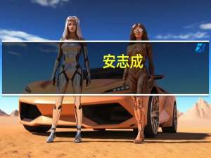 安志成(关于安志成简述)