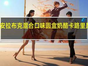 安拉 布克混合口味圆盒奶酪卡路里是多少