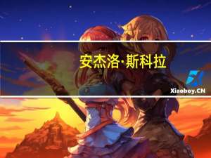 安杰洛·斯科拉(关于安杰洛·斯科拉简述)