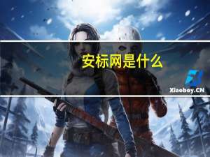安标网是什么（安标网）