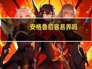 安格鲁貂容易养吗