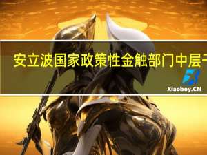 安立波国家政策性金触部门中层干部（安立波）
