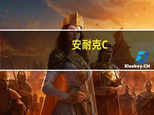 安耐克C-86(1GB)(关于安耐克C-86(1GB)简述)