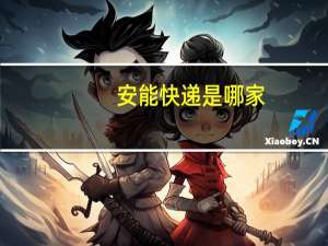 安能快递是哪家