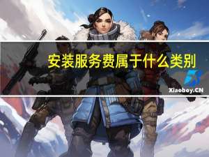 安装服务费属于什么类别
