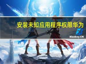 安装未知应用程序权限华为