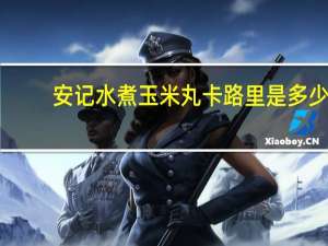 安记 水煮玉米丸卡路里是多少