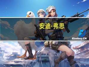 安迪·弗思(关于安迪·弗思简述)