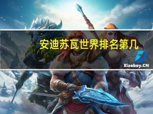 安迪苏瓦世界排名第几