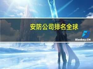 安防公司排名全球