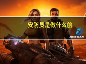 安防员是做什么的