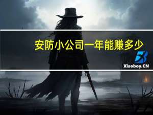 安防小公司一年能赚多少