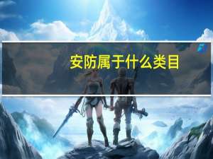 安防属于什么类目
