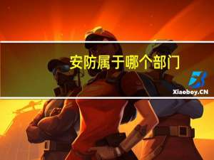 安防属于哪个部门
