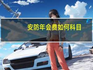安防年会费如何科目