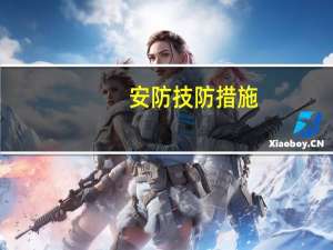 安防技防措施