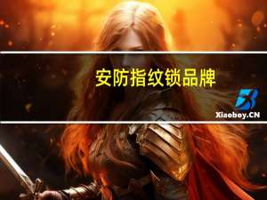 安防指纹锁品牌