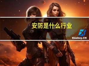 安防是什么行业
