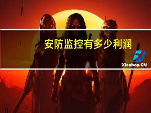 安防监控有多少利润