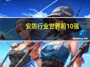 安防行业世界前10强