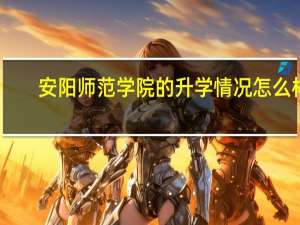 安阳师范学院的升学情况怎么样
