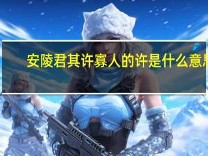 安陵君其许寡人的许是什么意思