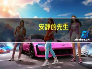 安静的先生(关于安静的先生简述)