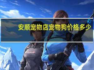 安顺宠物店宠物狗价格多少