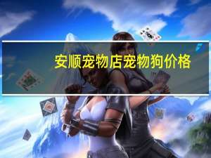 安顺宠物店宠物狗价格
