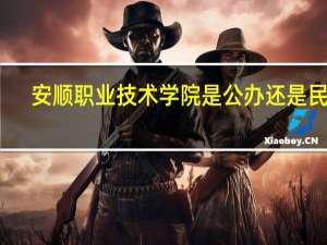安顺职业技术学院是公办还是民办