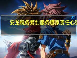 安龙税务筹划服务哪家责任心强