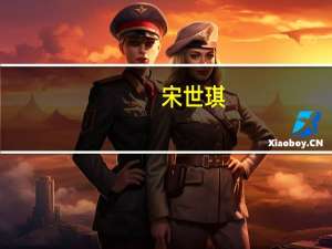 宋世琪(关于宋世琪简述)