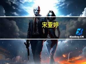 宋亚婷(关于宋亚婷简述)