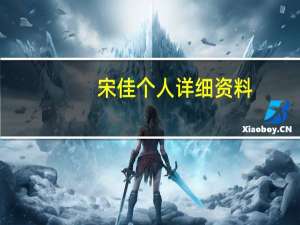 宋佳个人详细资料（关于宋佳个人详细资料的介绍）