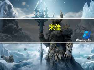 宋佳（关于宋佳的介绍）