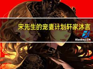 宋先生的宠妻计划轩家沐言（宋先生的宠妻计划）