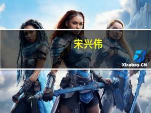 宋兴伟(关于宋兴伟简述)