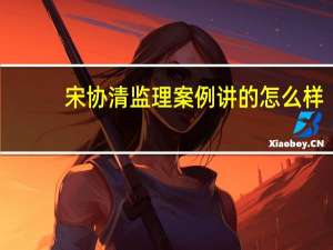 宋协清监理案例讲的怎么样