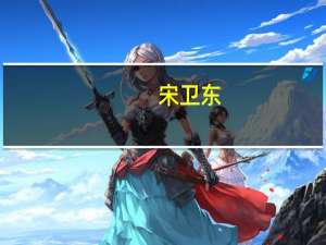宋卫东(关于宋卫东简述)