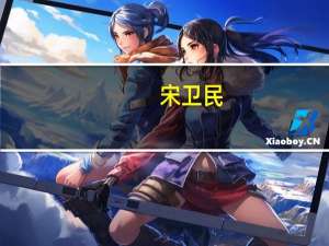 宋卫民(关于宋卫民简述)