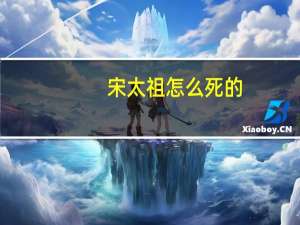 宋太祖怎么死的