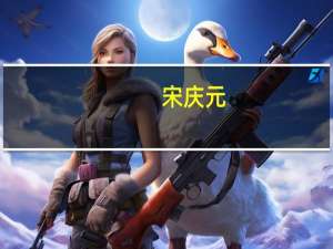 宋庆元(关于宋庆元简述)