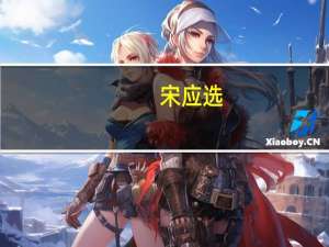 宋应选(关于宋应选简述)